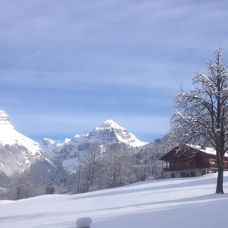 Chalet Des Cascades Apartment Sixt-Fer-a-Cheval